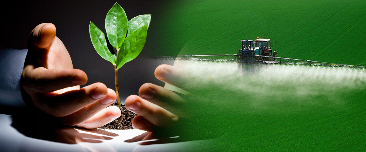Plant protection. Биоразнообразие в сельском хозяйстве. Проблемы экологии Fertilizers. Растения КФХ.
